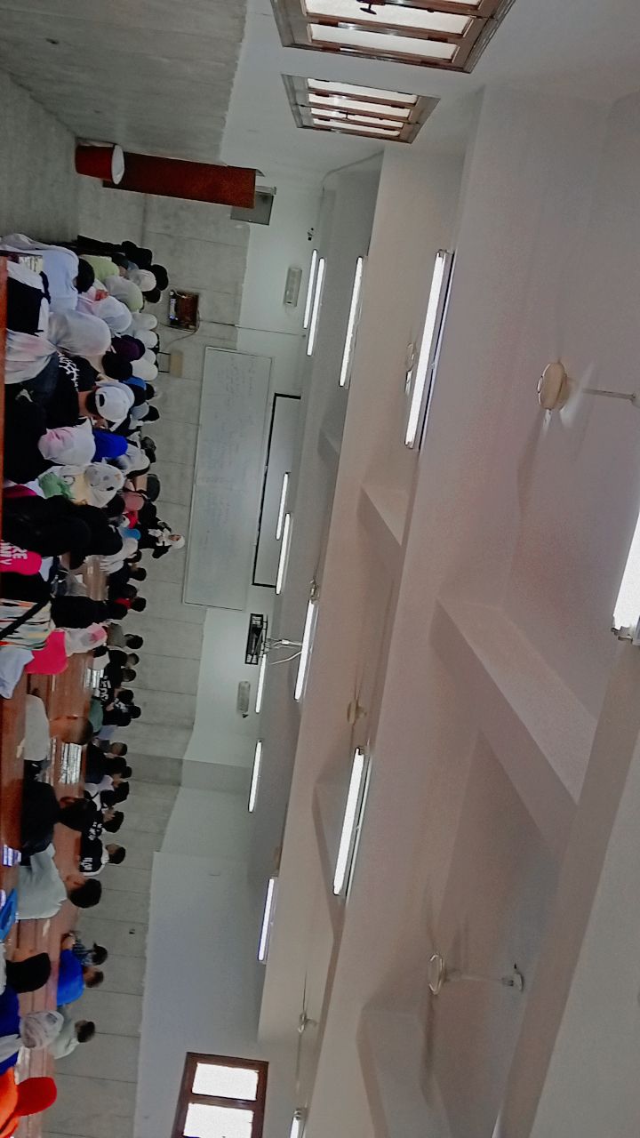 المحاضرات