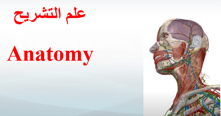 علم التشريح