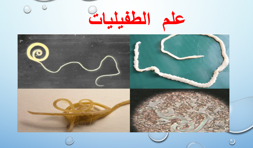 علم الطفيليات